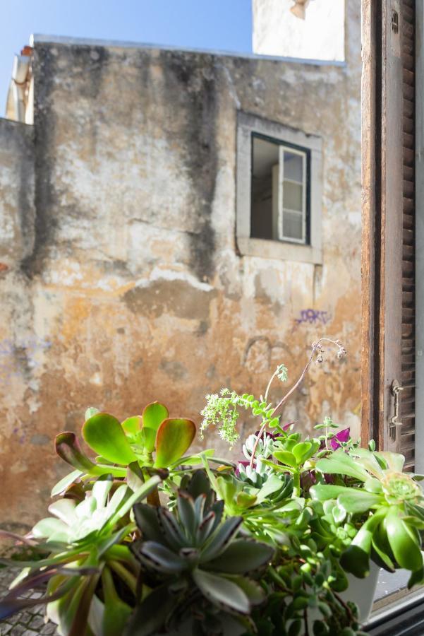 New! Nomad Dreams N.3 Apartamento Cascais Exterior foto